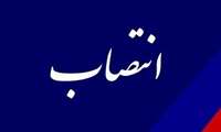 مدیر منابع انسانی دانشگاه منصوب شد